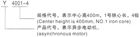 西安泰富西玛Y系列(H355-1000)高压YJTFKK4005-8-200KW三相异步电机型号说明